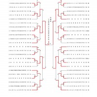 第34回全国高校女子選抜大会 記録3号