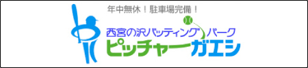 西宮の沢バッティングパーク・ピッチャーガエシ